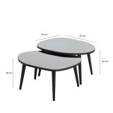 Tavolino da Salotto Nero Piano in Vetro Temperato Forma Ovale 75x55x38h cm, Sfumatura Colore Ripiano Fume - Cassiano