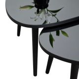 Tavolino da Salotto Nero Piano in Vetro Temperato Forma Ovale 75x55x38h cm, Sfumatura Colore Ripiano Fume - Cassiano