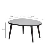 Tavolino da Salotto Nero Piano in Vetro Temperato Forma Ovale 75x55x38h cm, Sfumatura Colore Ripiano Fume - Frontone