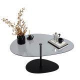 Tavolino da Salotto Nero Piano in Vetro Temperato Forma Ovale 90x60x40h cm, Sfumatura Colore Ripiano Fume - Tremiti