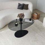 Tavolino da Salotto Nero Piano in Vetro Temperato Forma Ovale 90x60x40h cm, Sfumatura Colore Ripiano Fume - Tremiti