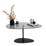 Tavolino da Salotto Nero Piano in Vetro Temperato Forma Ovale 90x60x40h cm, Sfumatura Colore Ripiano Fume - Tremiti
