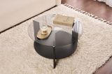 Tavolino da Salotto Nero Trasparente Fume Forma Rotondo Colore Ripiano Trasparente 75x75x40h cm, Materiale Struttura in Vetro - Canevino