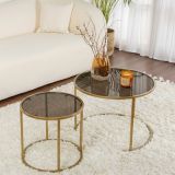 Tavolino da Salotto oro Bronzo set di 2 Tavolini Forma Rotondo 60x60x43h cm, Materiale Struttura in Vetro - Xaden