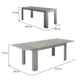 Tavolo allungabile grande 8-12 posti 160-210x90cm grigio - Agenore