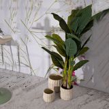 Vaso Beige Texture Verticale Effetto Legno Diametro Vaso Grande: 26.5, Vaso Medio: 20.5, Vaso Piccolo: 16.5 cm, - Bava