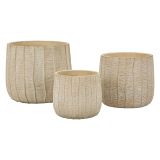 Vaso Beige Texture Verticale Effetto Legno Diametro Vaso Grande: 26.5, Vaso Medio: 20.5, Vaso Piccolo: 16.5 cm, - Bava