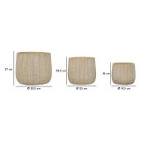 Vaso Beige Texture Verticale Effetto Legno Diametro Vaso Grande: 26.5, Vaso Medio: 20.5, Vaso Piccolo: 16.5 cm, - Bava