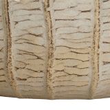 Vaso Beige Texture Verticale Effetto Legno Diametro Vaso Grande: 26.5, Vaso Medio: 20.5, Vaso Piccolo: 16.5 cm, - Bava
