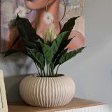 Vaso Bianco Crema Finitura Scanalata Diametro 22 cm, Sfumatura Colore Struttura Crema - Arvid