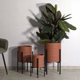 Vaso Marrone Terracotta Nero set di 3 Vasi Colore Struttura Nero, Sfumatura Colore Struttura Terracotta - Cisterna
