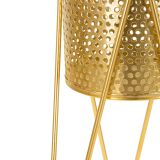 Vaso oro, - Katia