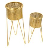Vaso oro, - Katia