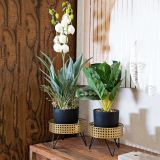 Vaso oro Nero set 2 Vasi, Portavasi Rimovibili Colore Struttura Nero, - BarHar