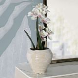 Vaso Rosa Bianco Crema Finitura Effetto Materico Colore Struttura Bianco, Sfumatura Colore Struttura Crema - Batobamo
