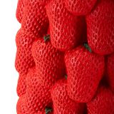 Vaso Rosso Disegni con Fragole Diametro 13.5 cm, - Giano