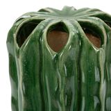 Vaso Verde Disegno con Cactus, - Basi