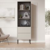 Vetrina Beige Nero 2 Ripiani 2 Cassetti 60x40x185h cm, Un'anta - Zanica