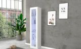 Vetrina Enea, Credenza con ripiani in vetro, Mobile da soggiorno multiuso con luce LED, 100% Made in Italy, cm 40x30h180, Bianco lucido