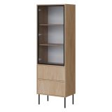 Vetrina Marrone Rovere Nero 2 Ripiani 2 Cassetti 60x40x185h cm, Un'anta - Zanica