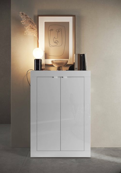 Armadio multiuso 2 ante Endine, Mobile multifunzionale, Mobiletto scarpiera, Guardaroba porta scarpe, Made in Italy, 78x35 h113 cm, Bianco