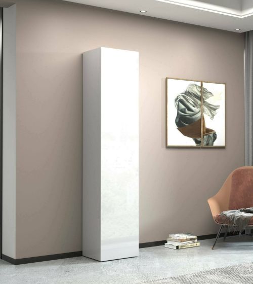 Armadio Multiuso Zenone, Mobile multiuso a 1 anta, Guardaroba multifunzione, 45x35h190 cm, Bianco