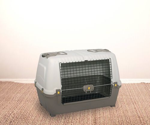 Oggettistica Animali Bianco Grigio, Made in Italy - Faustal