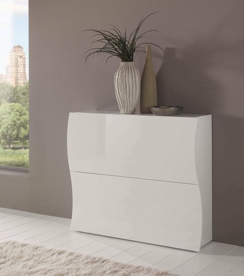 Scarpiera Andrea, Mobile multiuso a 2 ante a ribalta-, Portascarpe da ingresso, 100% Made in Italy, cm 101x27h82, Bianco lucido