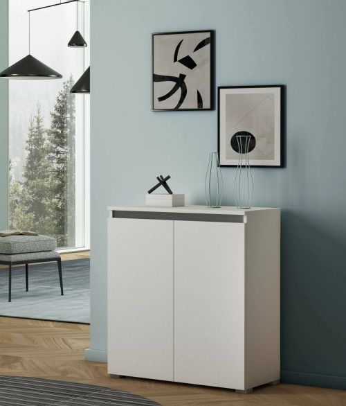 Scarpiera Calla, Mobile multiuso, Porta scarpe salvaspazio a 2 ante, Armadio portaoggetti con scaffali, 100% Made in Italy, 80x37h102 cm, Bianco