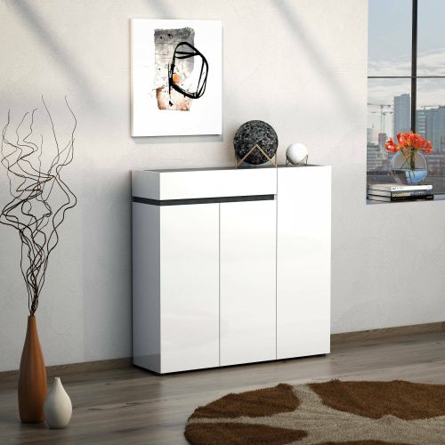 Scarpiera Conakry, Mobile portascarpe, Armadio da ingresso multiuso, Mobiletto per calzature, Made in Italy, 120x34h115 cm, Bianco lucido e Antracite