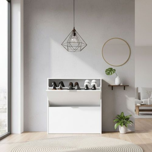 Scarpiera Louisville, Armadio portascarpe a 2 ante a ribalta-, Scarpiera bassa da ingresso, Mobile basso, 75x22h76 cm, Bianco