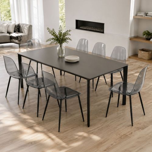 Sedia Grigio Fume 8 Sedie Peso Supportato 120 kg, Sfumatura Colore Struttura Fume - Amstrong