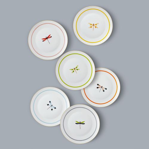 Servizio Piatti Multicolore set da 6 Adatto per Lavastoviglie, - Nilemora