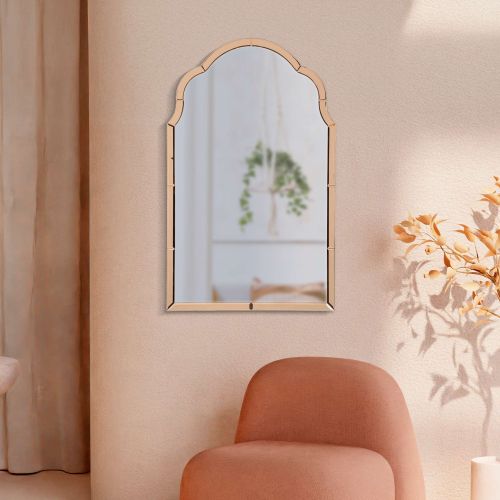 Specchio Rosa Trasparente Cornice Sagomata Forma Rettangolare 62x100h cm, Tipologia a Parete - Gamera