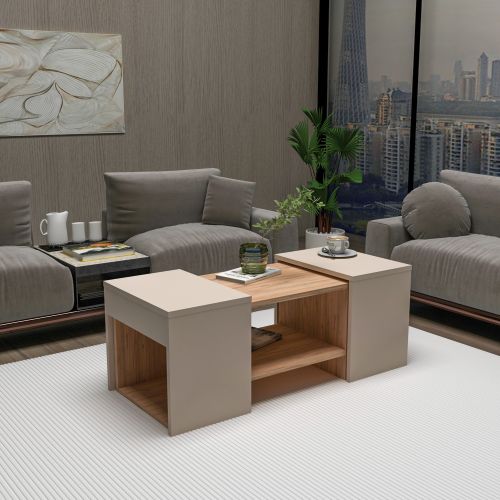 Tavolino da Salotto Marrone Rovere Grigio Tortora un Vano Forma Rettangolare 100x40x37h cm, Colore Ripiano Marrone - Usseglio