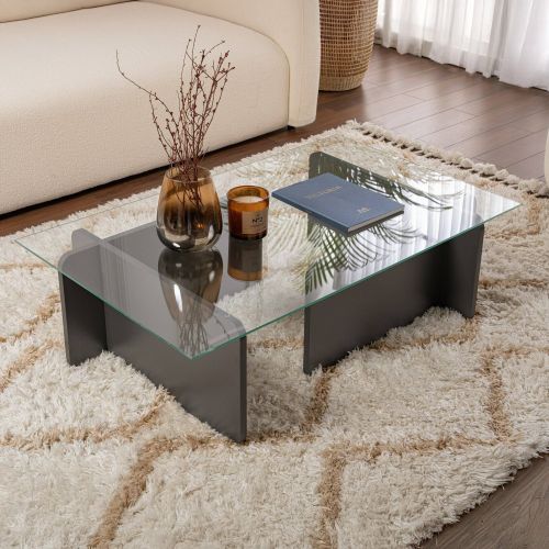 Tavolino da Salotto Nero Antracite Portariviste Forma Rettangolare 105x65x30h cm, Sfumatura Colore Struttura Antracite - Kallias