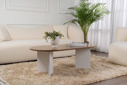 Tavolino da salotto Parrano, Tavolo basso da caffè, Portariviste per divano, Ripiano da soggiorno, 119x60 h40 cm, Noce e Bianco