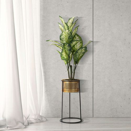 Vaso oro Nero Portavaso Rimovibile Colore Struttura Nero, - Juayua