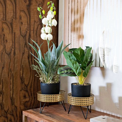 Vaso oro Nero set 2 Vasi, Portavasi Rimovibili Colore Struttura Nero, - BarHar