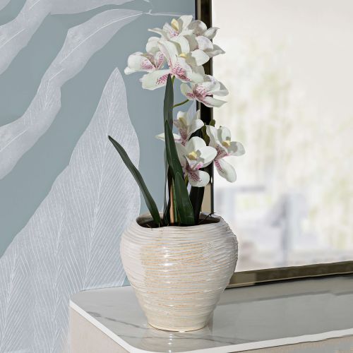 Vaso Rosa Bianco Crema Finitura Effetto Materico Colore Struttura Bianco, Sfumatura Colore Struttura Crema - Batobamo