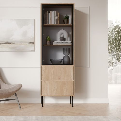 Vetrina Marrone Rovere Nero 2 Ripiani 2 Cassetti 60x40x185h cm, Un'anta - Zanica