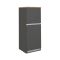 Mobile portafrigo 2 ante 60x165h cm antracite e rovere - Mesarthim