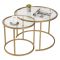 Tavolino da Salotto oro set di 2 Tavolini Peso Massimo Supportato 10 kg Forma Rotondo 60x60x43h cm, Materiale Piano in Vetro - Xaden