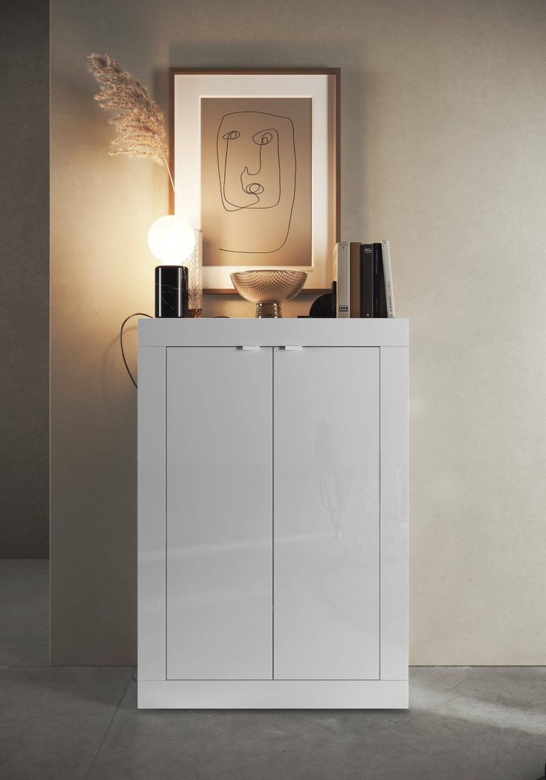 Armadio multiuso 2 ante Endine, Mobile multifunzionale, Mobiletto scarpiera, Guardaroba porta scarpe, Made in Italy, 78x35 h113 cm, Bianco