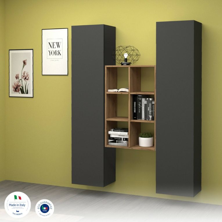 Credenza alta antracite e acero 40x30x180h cm 2 ante - Danila