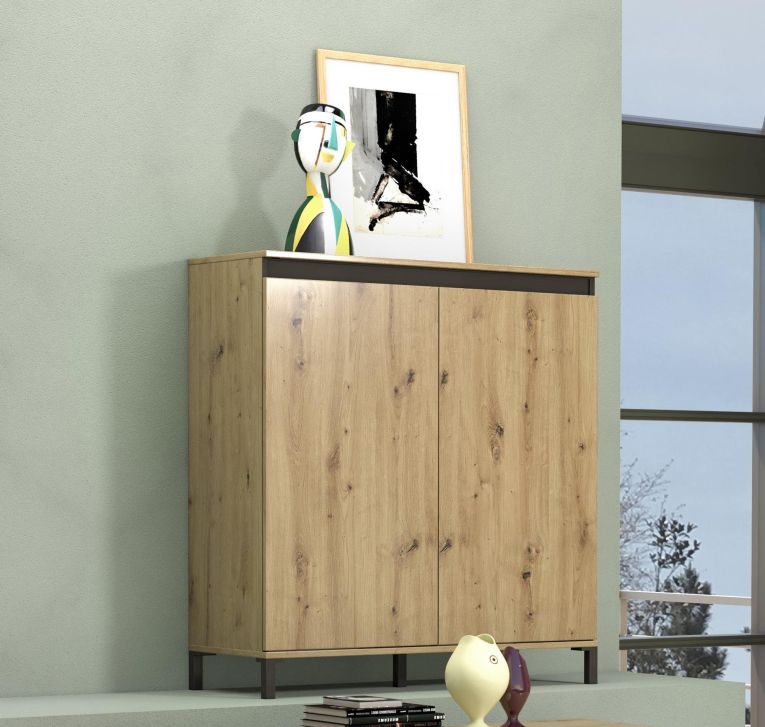 Credenza rovere nodi e antracite 100x40x110h cm 2 ante - Tokyo