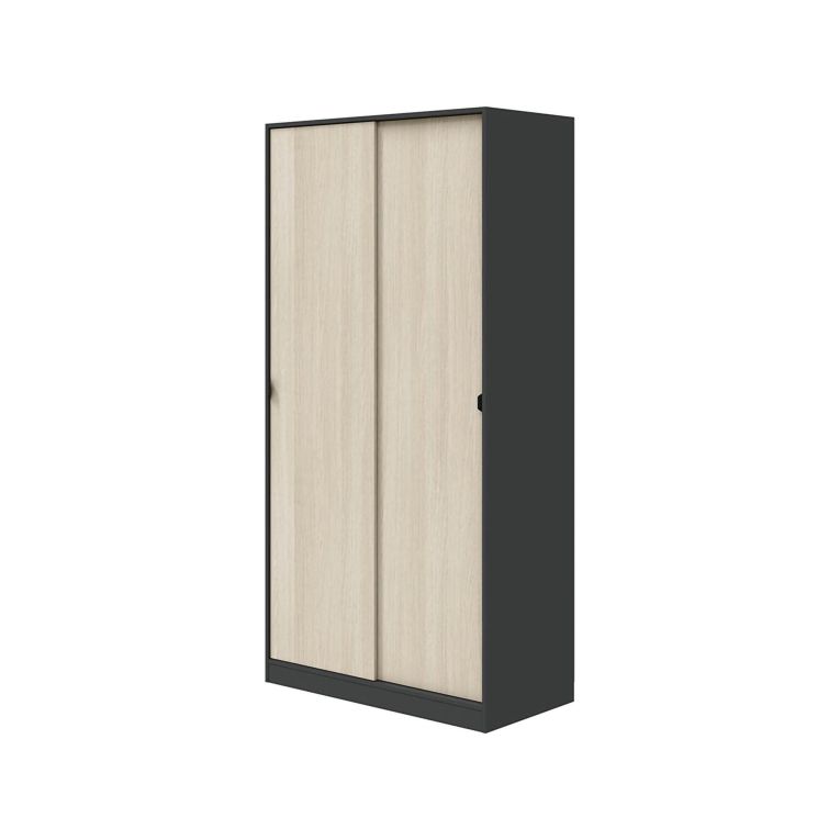 Guardaroba 2 Ante Nero Antracite Marrone Rovere 4 Ripiani Appendiabiti 100x200h cm, 2 Ante - Orgosolo