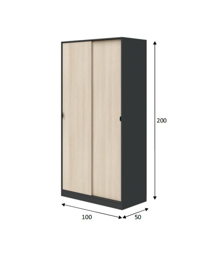 Guardaroba 2 Ante Nero Antracite Marrone Rovere 4 Ripiani Appendiabiti 100x200h cm, 2 Ante - Orgosolo