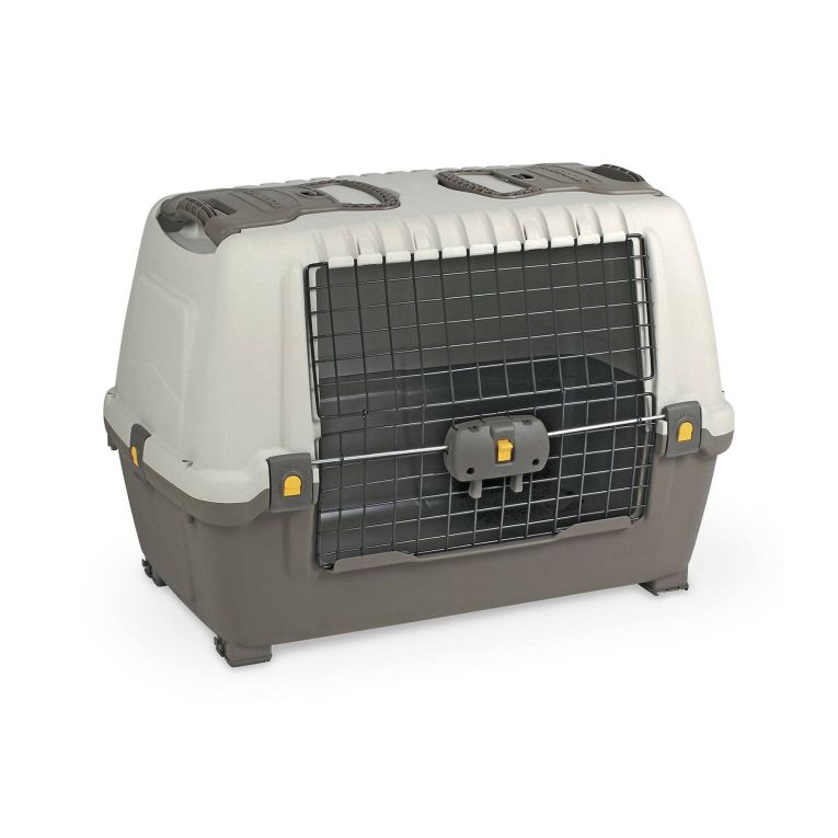 Oggettistica Animali Bianco Grigio, Made in Italy - Faustal