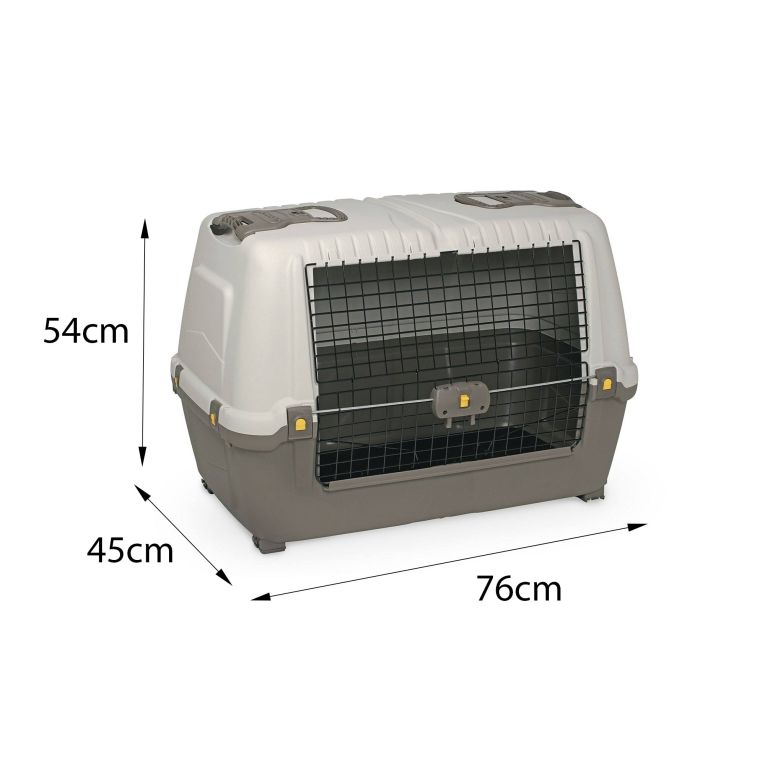 Oggettistica Animali Bianco Grigio, Made in Italy - Faustal